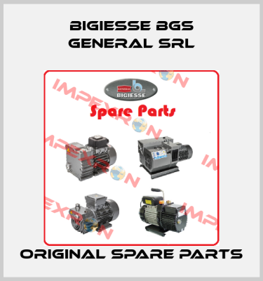 BIGIESSE BGS GENERAL SRL