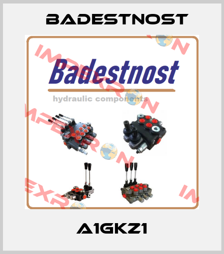 A1GKZ1 Badestnost